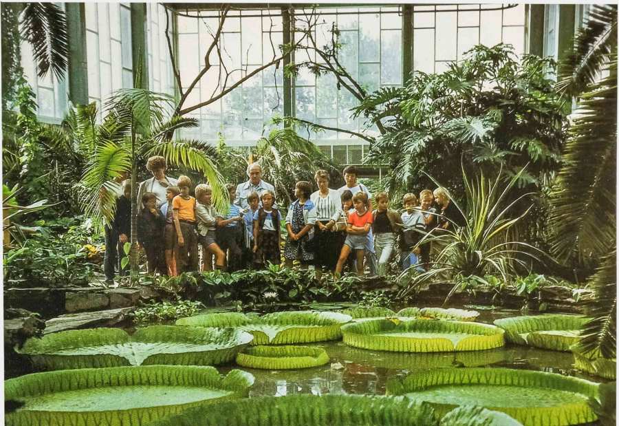 Blank postcard: picture of a school class in the tropical hall of Tierpark Berlin in front of a pond, from the collection of the DDR Museum